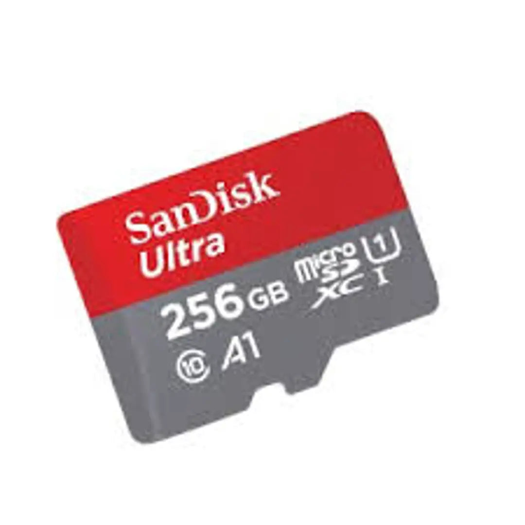 256GB MEMORY CARD C10