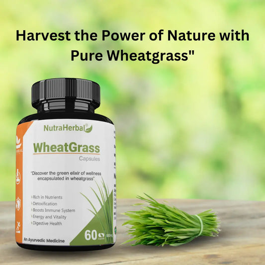 NutraHerbal WheatGrass Wheat Grass Tablets (60capsules, 500mg) - Natural Antioxidant Superfood, Supports Healthy Joints, Immunity Booster, Non-GMO, Vegan